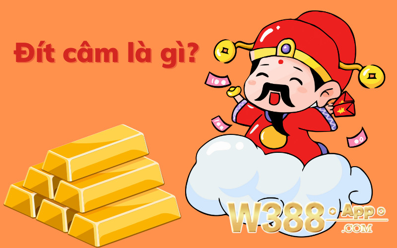 Lô đít câm là gì?