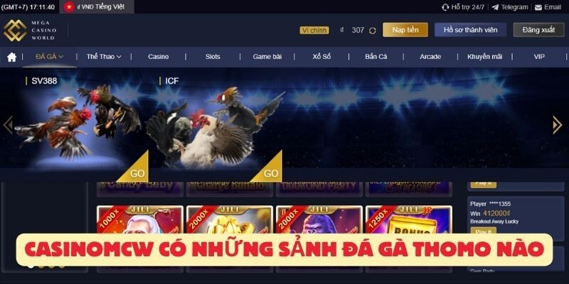 Casinomcw có những sảnh đá gà Thomo nào