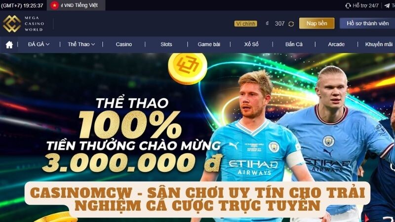 Vì sao bạn nên chọn nền tảng cá cược trực tuyến casinomcw?