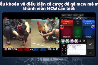 MCW – Điểm Đến Ưa Thích Của Người Chơi Đá Gà Mcw Online